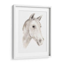 Semental De Marfil I - Jacob Green | Cuadro decorativo de Canvas Lab