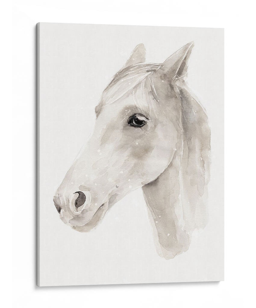 Stallion Ivory Ii - Jacob Green | Cuadro decorativo de Canvas Lab