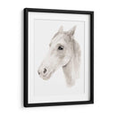 Stallion Ivory Ii - Jacob Green | Cuadro decorativo de Canvas Lab