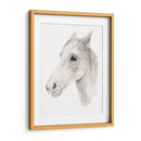 Stallion Ivory Ii - Jacob Green | Cuadro decorativo de Canvas Lab
