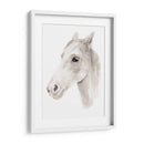 Stallion Ivory Ii - Jacob Green | Cuadro decorativo de Canvas Lab