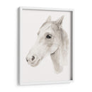 Stallion Ivory Ii - Jacob Green | Cuadro decorativo de Canvas Lab