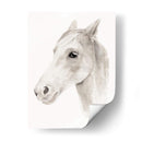 Stallion Ivory Ii - Jacob Green | Cuadro decorativo de Canvas Lab