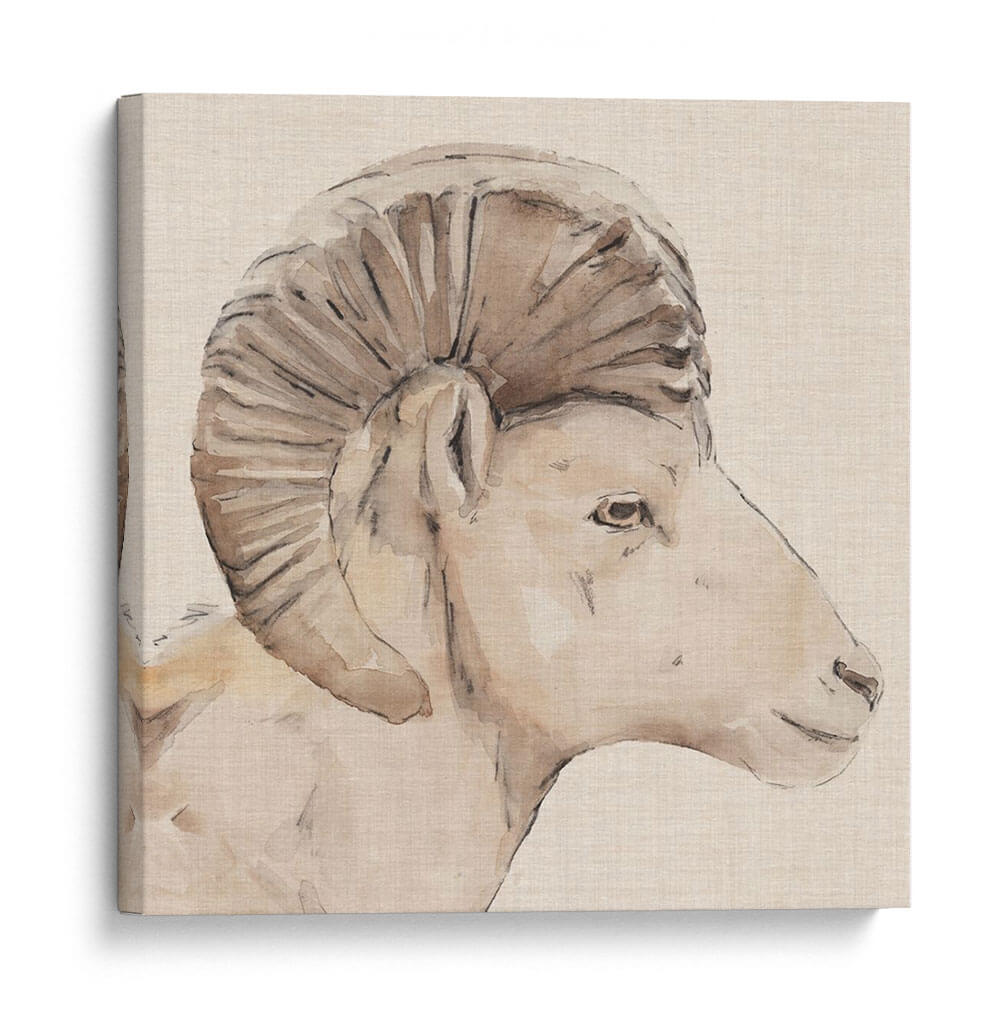 Perfil De Bighorn Ii - Jacob Green | Cuadro decorativo de Canvas Lab