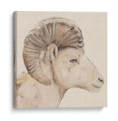 Perfil De Bighorn Ii - Jacob Green | Cuadro decorativo de Canvas Lab