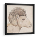 Perfil De Bighorn Ii - Jacob Green | Cuadro decorativo de Canvas Lab