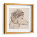Perfil De Bighorn Ii - Jacob Green | Cuadro decorativo de Canvas Lab