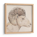 Perfil De Bighorn Ii - Jacob Green | Cuadro decorativo de Canvas Lab
