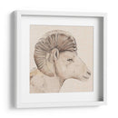 Perfil De Bighorn Ii - Jacob Green | Cuadro decorativo de Canvas Lab