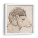 Perfil De Bighorn Ii - Jacob Green | Cuadro decorativo de Canvas Lab