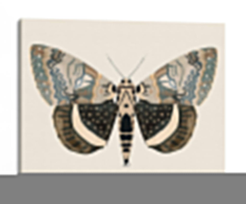 Polilla Neutral I - Susan Savory | Cuadro decorativo de Canvas Lab
