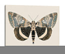 Polilla Neutral I - Susan Savory | Cuadro decorativo de Canvas Lab