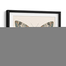 Polilla Neutral I - Susan Savory | Cuadro decorativo de Canvas Lab
