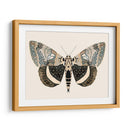 Polilla Neutral I - Susan Savory | Cuadro decorativo de Canvas Lab