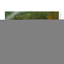 Horsepark En Woodside - Sheila Finch | Cuadro decorativo de Canvas Lab