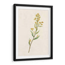 Delicado Amarillo I - Jennifer Goldberger | Cuadro decorativo de Canvas Lab