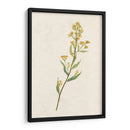 Delicado Amarillo I - Jennifer Goldberger | Cuadro decorativo de Canvas Lab