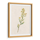 Delicado Amarillo I - Jennifer Goldberger | Cuadro decorativo de Canvas Lab