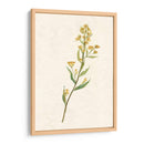 Delicado Amarillo I - Jennifer Goldberger | Cuadro decorativo de Canvas Lab