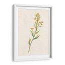 Delicado Amarillo I - Jennifer Goldberger | Cuadro decorativo de Canvas Lab