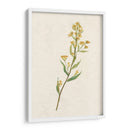 Delicado Amarillo I - Jennifer Goldberger | Cuadro decorativo de Canvas Lab