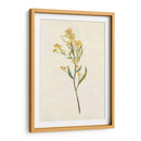 Delicado Amarillo Ii - Jennifer Goldberger | Cuadro decorativo de Canvas Lab