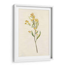 Delicado Amarillo Ii - Jennifer Goldberger | Cuadro decorativo de Canvas Lab