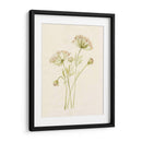 Rubor De Encaje I - Jennifer Goldberger | Cuadro decorativo de Canvas Lab