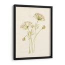 Rubor De Encaje I - Jennifer Goldberger | Cuadro decorativo de Canvas Lab