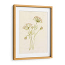 Rubor De Encaje I - Jennifer Goldberger | Cuadro decorativo de Canvas Lab