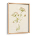 Rubor De Encaje I - Jennifer Goldberger | Cuadro decorativo de Canvas Lab