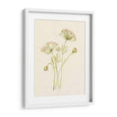 Rubor De Encaje I - Jennifer Goldberger | Cuadro decorativo de Canvas Lab