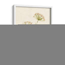 Rubor De Encaje I - Jennifer Goldberger | Cuadro decorativo de Canvas Lab