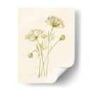 Rubor De Encaje I - Jennifer Goldberger | Cuadro decorativo de Canvas Lab