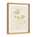 Rubor De Encaje Ii - Jennifer Goldberger | Cuadro decorativo de Canvas Lab