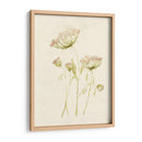 Rubor De Encaje Ii - Jennifer Goldberger | Cuadro decorativo de Canvas Lab