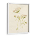 Rubor De Encaje Ii - Jennifer Goldberger | Cuadro decorativo de Canvas Lab