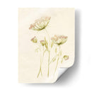 Rubor De Encaje Ii - Jennifer Goldberger | Cuadro decorativo de Canvas Lab