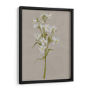 Flores De Campo Blanco I - Jennifer Goldberger | Cuadro decorativo de Canvas Lab