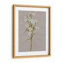 Flores De Campo Blanco I - Jennifer Goldberger | Cuadro decorativo de Canvas Lab