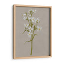 Flores De Campo Blanco I - Jennifer Goldberger | Cuadro decorativo de Canvas Lab