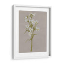 Flores De Campo Blanco I - Jennifer Goldberger | Cuadro decorativo de Canvas Lab
