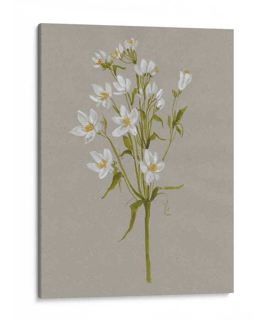 Flores De Campo Blanco Ii - Jennifer Goldberger | Cuadro decorativo de Canvas Lab