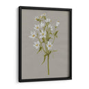 Flores De Campo Blanco Ii - Jennifer Goldberger | Cuadro decorativo de Canvas Lab