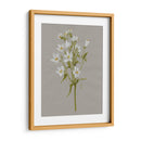 Flores De Campo Blanco Ii - Jennifer Goldberger | Cuadro decorativo de Canvas Lab