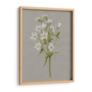 Flores De Campo Blanco Ii - Jennifer Goldberger | Cuadro decorativo de Canvas Lab