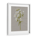 Flores De Campo Blanco Ii - Jennifer Goldberger | Cuadro decorativo de Canvas Lab