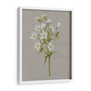 Flores De Campo Blanco Ii - Jennifer Goldberger | Cuadro decorativo de Canvas Lab