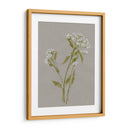 Flores De Campo Blanco Iii - Jennifer Goldberger | Cuadro decorativo de Canvas Lab