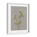 Flores De Campo Blanco Iii - Jennifer Goldberger | Cuadro decorativo de Canvas Lab